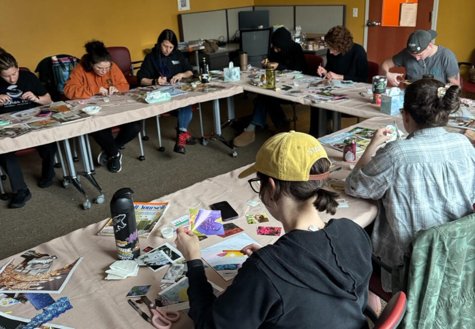 Custom team building workshop with Brother Wolf Animal Rescue